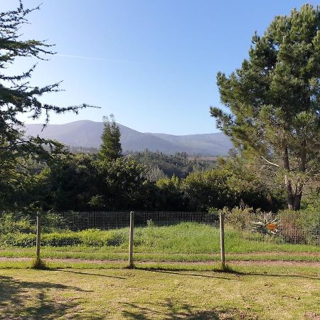 Elephant Country Guest House The Crags Bagian luar foto