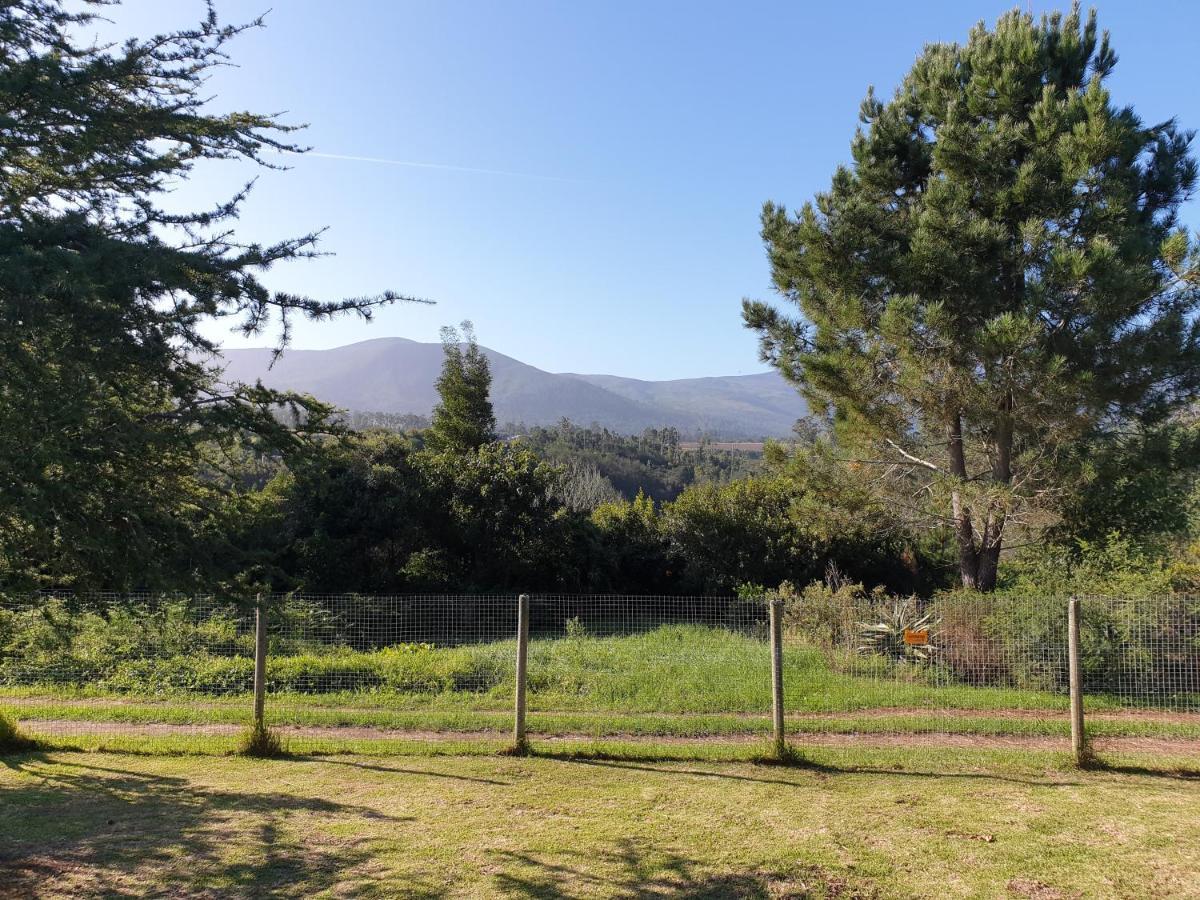 Elephant Country Guest House The Crags Bagian luar foto