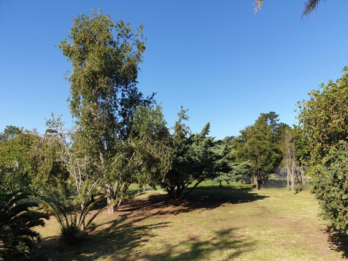 Elephant Country Guest House The Crags Bagian luar foto